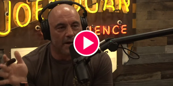 Joe Rogan Explains to His Audience About Breakthrough Cases and Vaccine Passports…